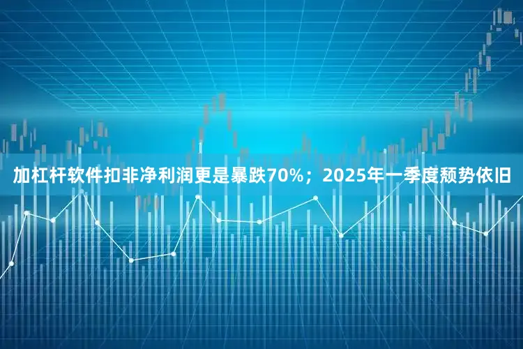 加杠杆软件扣非净利润更是暴跌70%；2025年一季度颓势依旧