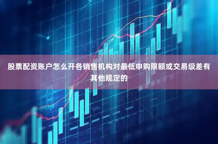 股票配资账户怎么开各销售机构对最低申购限额或交易级差有其他规定的